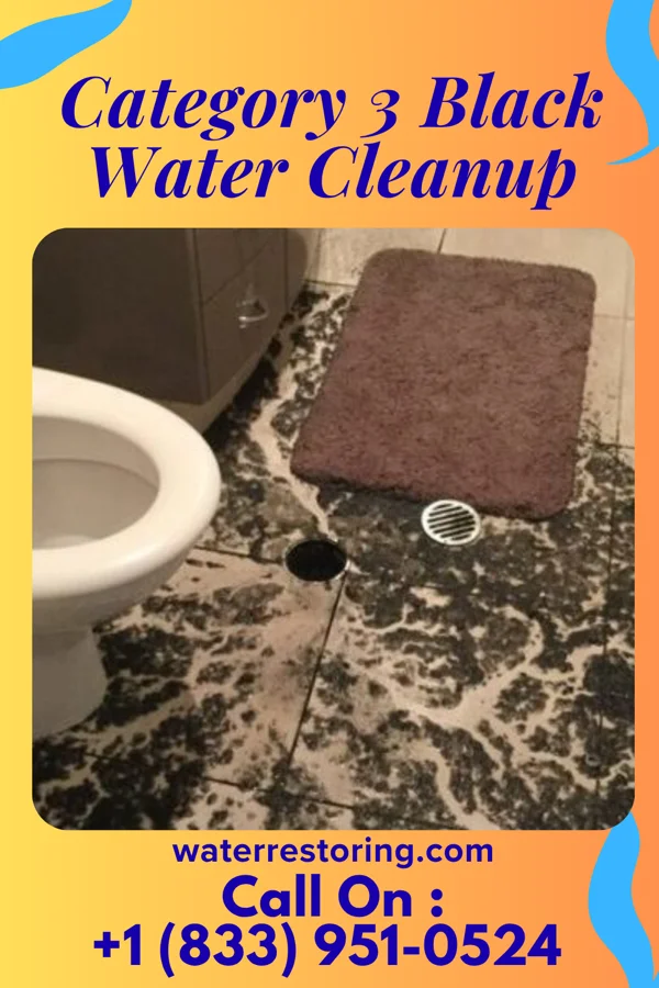 Category 3 Black Water Cleanup in Mountain View, OK